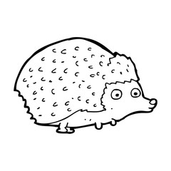 cartoon hedgehog