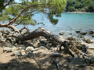 Antalya Phaselis Örenyeri - M.Ö.690 Rodoslular - Sonra Roma