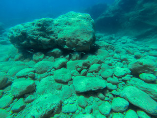 snorkerilng in the seas of Sicily