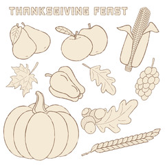 Vector template with hand drawn Thanksgiving elements.