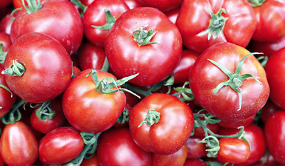 Many of juicy ripe red tomatoes