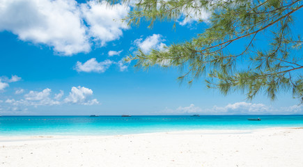 blue sky with beach sea and leaf