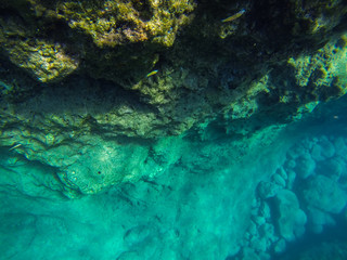 Fototapeta premium snorkerilng in the seas of Sicily