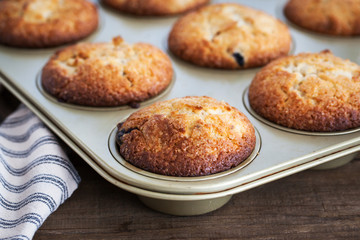 Fresh homemade delicious apple muffins