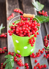 Fresh redcurrant in a bucket