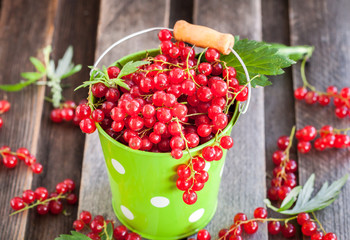 Fresh redcurrant in a bucket