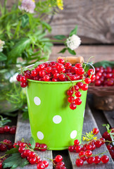 Fresh redcurrant in a bucket