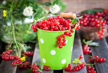 Fresh redcurrant in a bucket