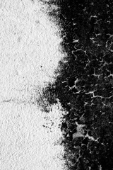 Texture background of the old fungus wall, black and white. The