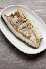 white steam river fish