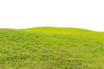 Obraz na płótnie Canvas green field isolated