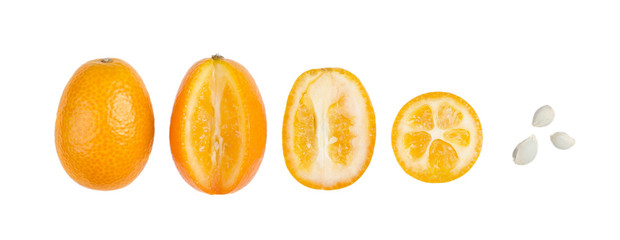 Six oval kumquats in a row closeup. One kumquat is cut in half. Macro photo from above, isolated on white background.