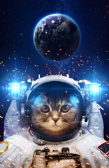 Beautiful cat in outer space. Elements of this image furnished