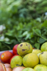 face doll on lemon  lime look like Halloween decor, fresh verget