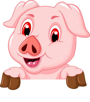 funny pig cartoon with blank board 