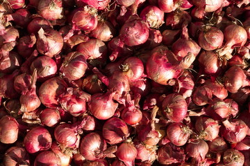 scatter red onion