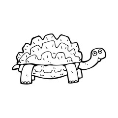 cartoon tortoise