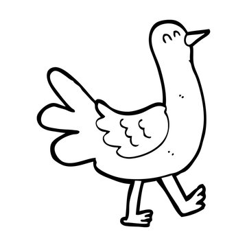 cartoon walking bird