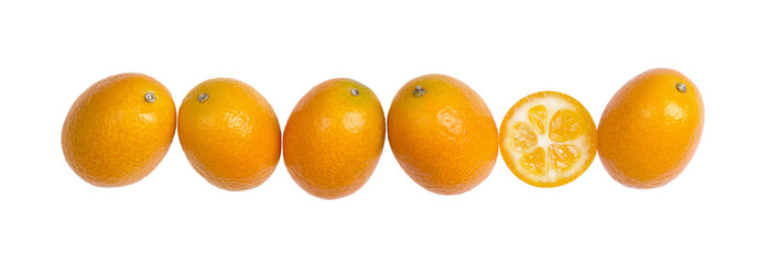 Six oval kumquats in a row closeup. One kumquat is cut in half. Macro photo from above, isolated on white background.