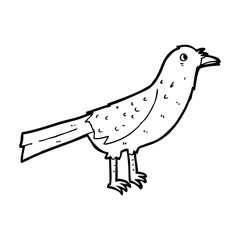 cartoon bird