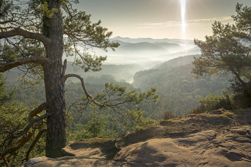 Fototapeta premium Strahlende Morgensonne im Dahner Felsenland