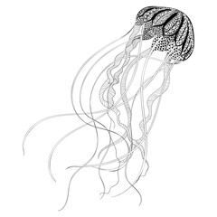 Zentangle stylized black Jellyfish. Hand Drawn vector illustrati - 90328780