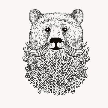 Sketch Bear with a beard. Hand drawn vector  illustration. Doodl