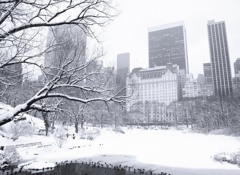 The view looking south across The Pond in Manhattan's Central Park between snow storms. Subtly blue toned black and white image.