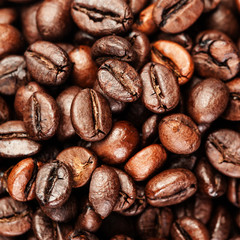 Brown coffee beans, close up of coffee beans for background and