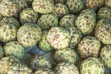 Custard apples  Annona reticulata