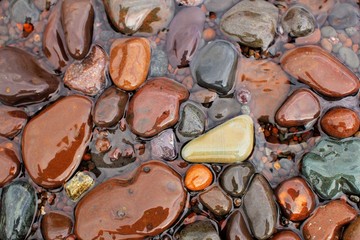 Wet rocks at the shoreline of Lake Superior, Minnesota's North Shore.