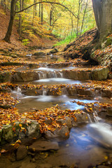 Autumn landscape with trees and river.
