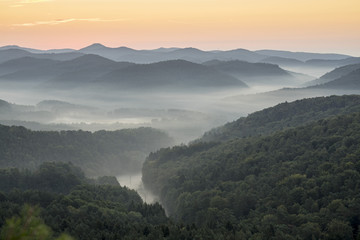 Obraz premium Im Pfälzerwald kurz vor Sonnenaufgang