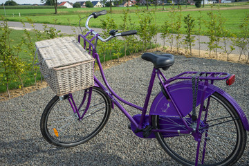 Purple Dutch Omafiets Bicycle 