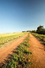dirt road