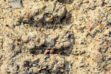 Brown grunge wall stone background or texture nature rock