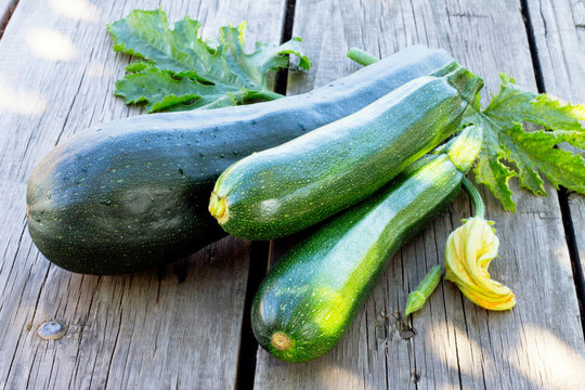 Harvest of fresh zucchini on the wooden background