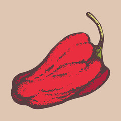 Red Pepper