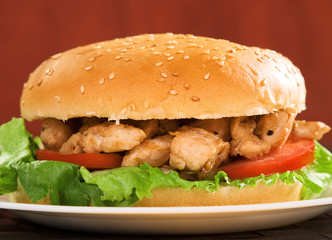 Hamburger