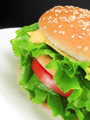 Hamburger