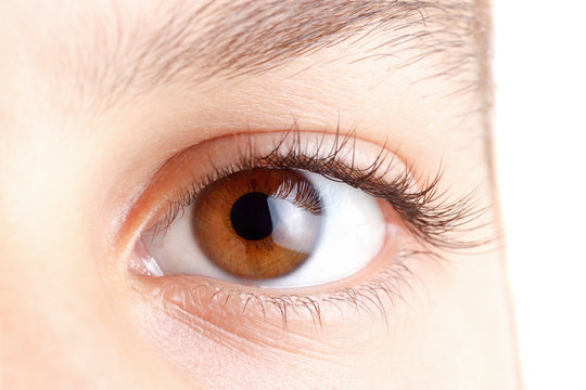 Eyes with long beautiful eyelashes, brown, macro.