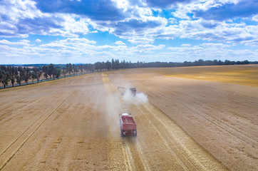 Combines and tractors working on the wheat field