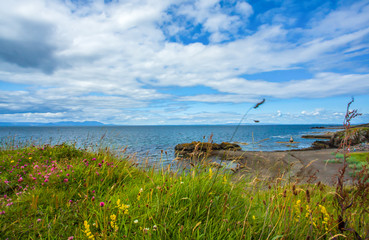 Fototapeta na wymiar Küstenlandschaft im Park von Dunure Castle in der Schottischen Ortschaft Dunure
