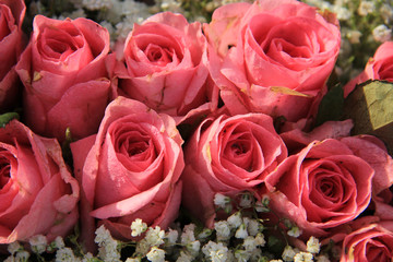 Pink roses and baby breath bouquet