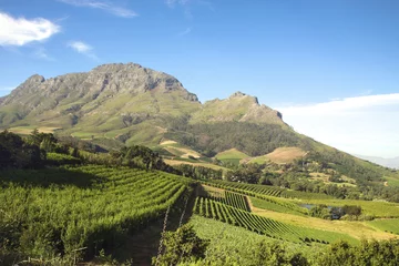 Rolgordijnen Landschap van de wijnmakerijen in Zuid-Afrika © piccaya