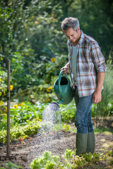 Portrait of a gardener watering his garden © jackfrog