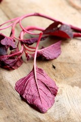 red spinach on a wooden vintage