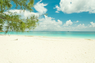 blue sky with beach sea and leaf - film filter