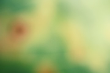 Blurred of dried leaves