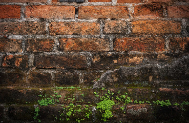 Fototapeta premium Old grunge brick wall dark border